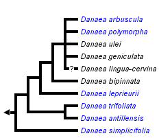 taxon links